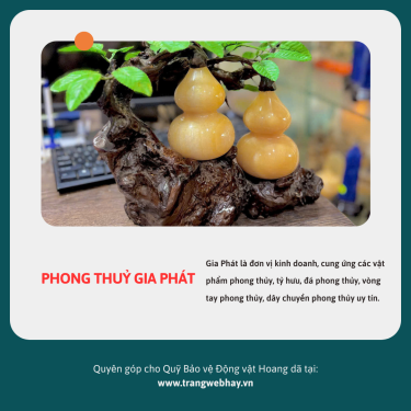 Ý NGHĨA HỒ LÔ TRONG PHONG THUỶ