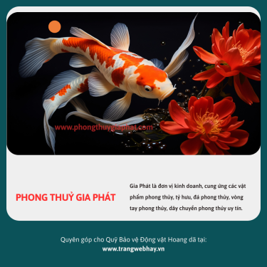 CÁ PHONG THUỶ LẠI LÀ CÁ CHÉP
